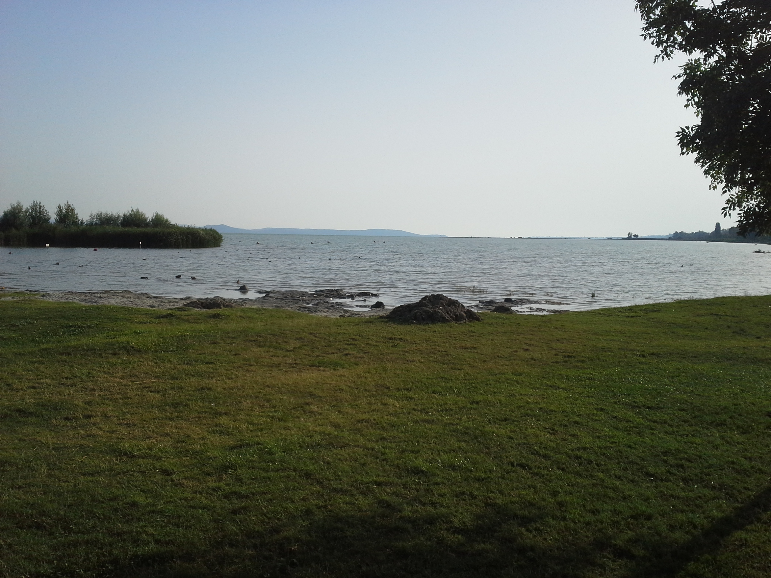 Balaton baden