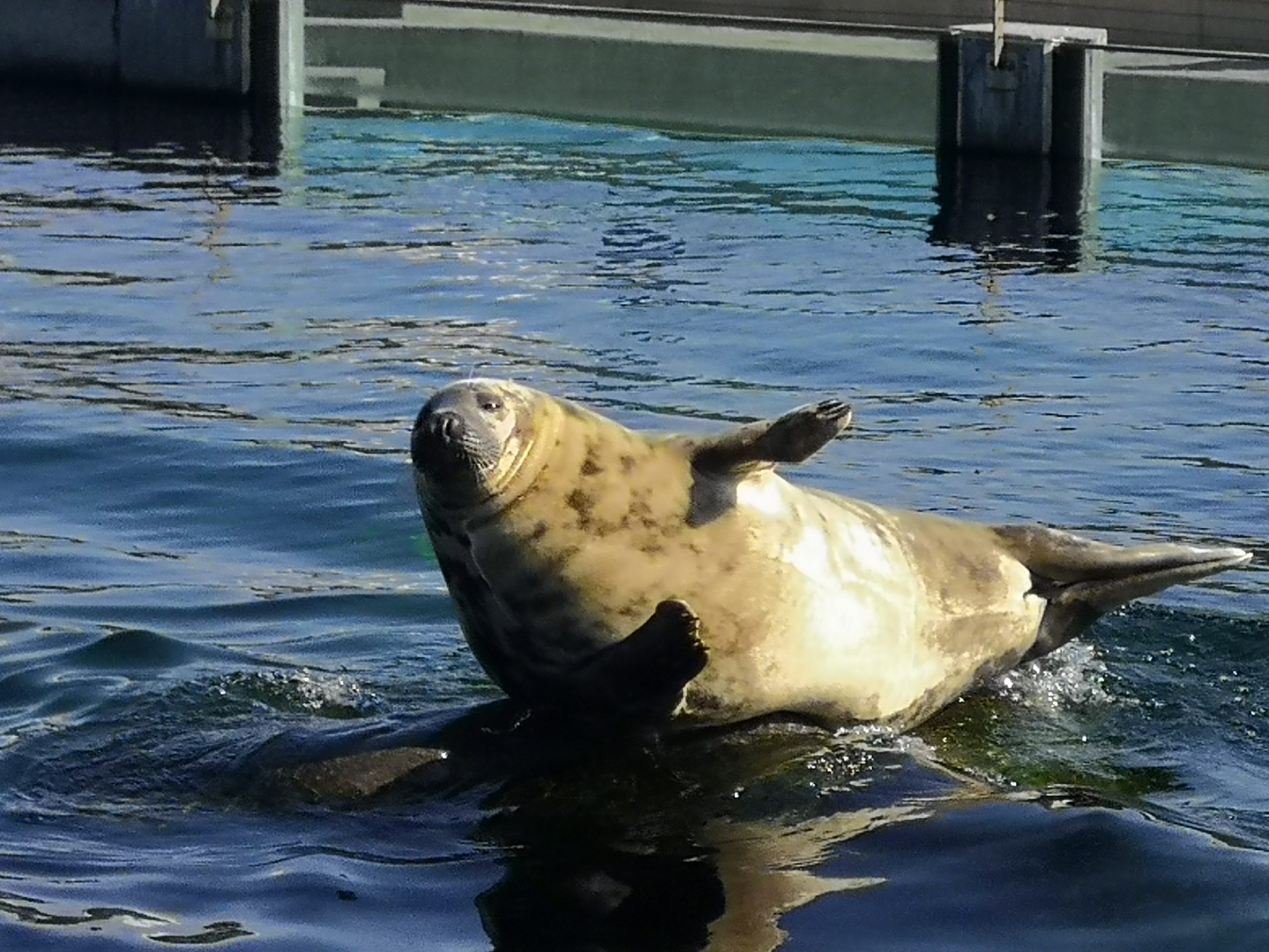 Nordsoen Oceanarium