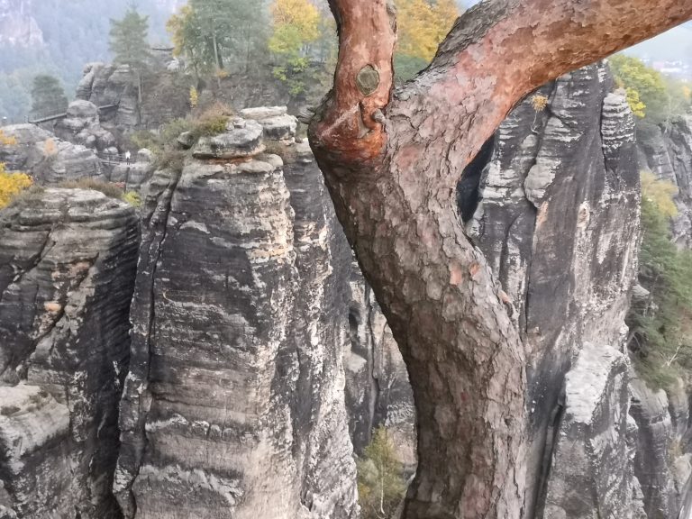 Sächsische Schweiz – Wandern?