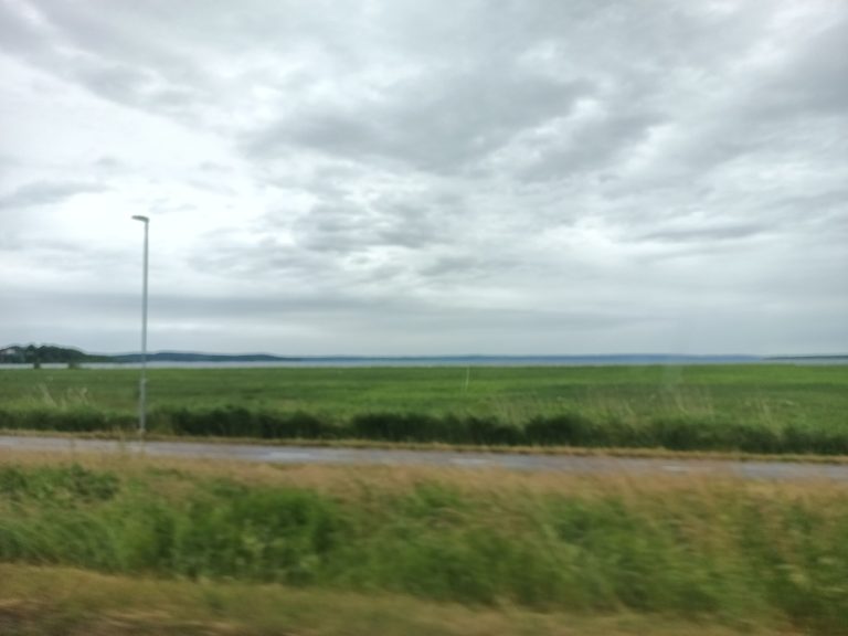 Ein so fauler Tag, dass man es kaum glauben kann …
