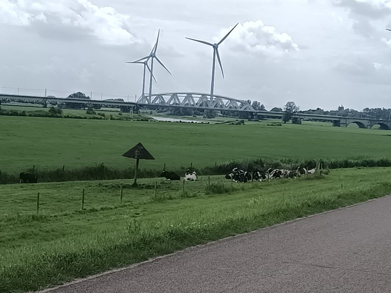 Fahrradtour und Museum