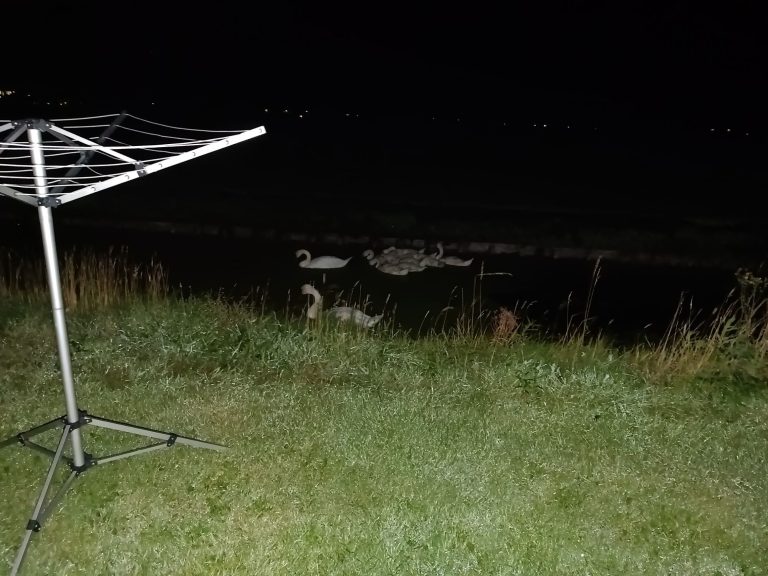 Engelandvaarders und kein Strand