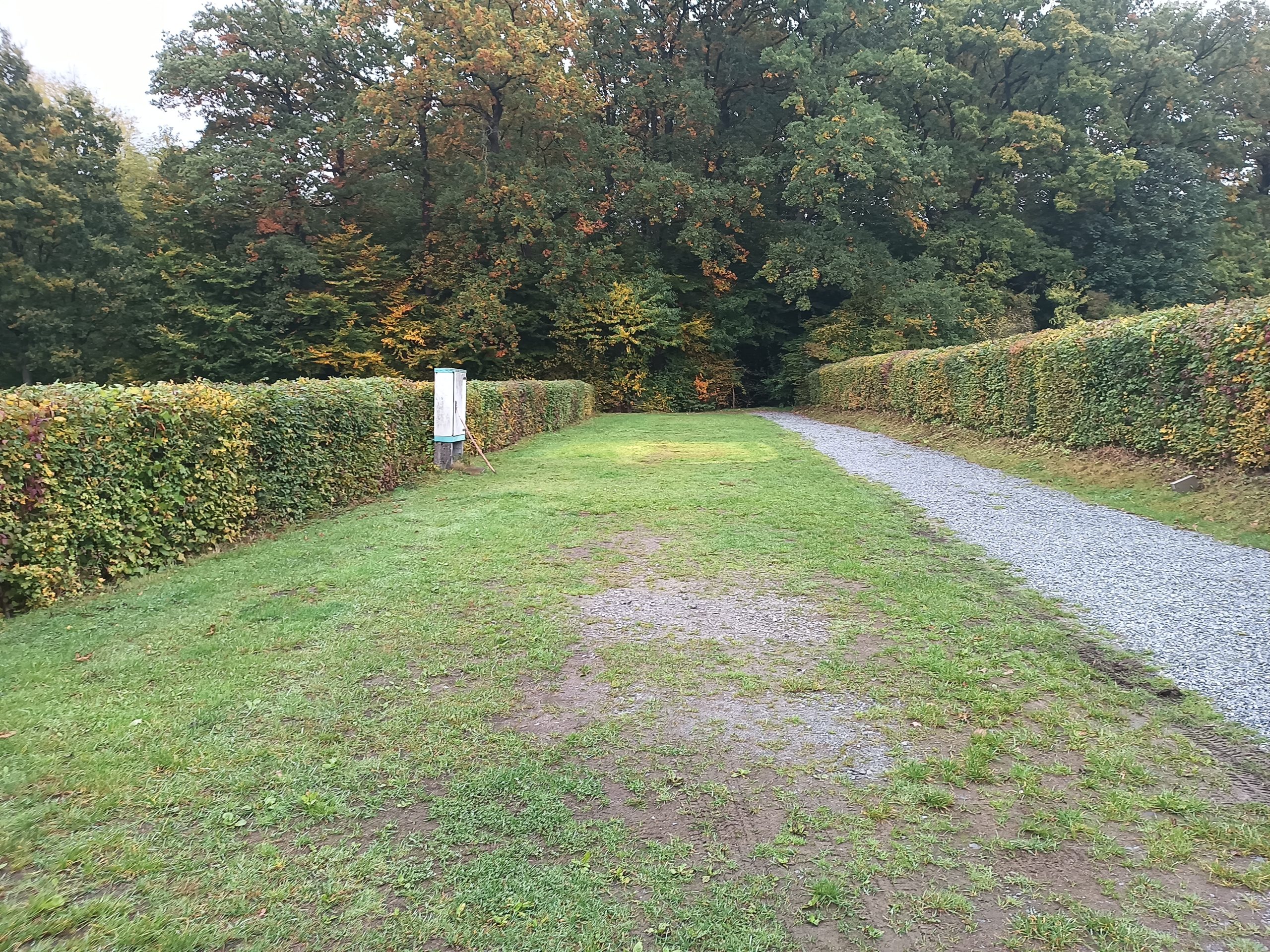 Und wieder ist eine Woche vorbei …