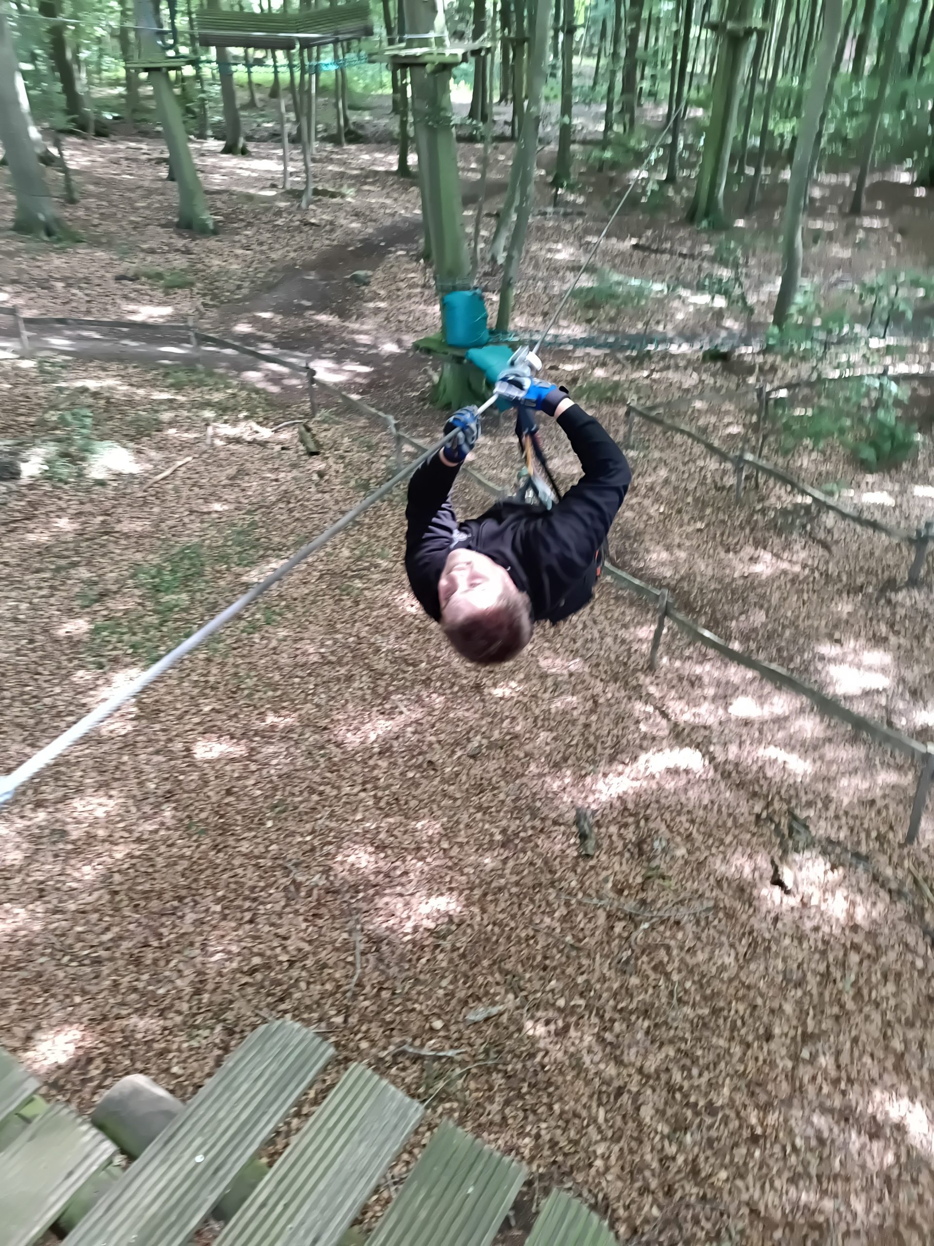 Affen im Affenpark äh Gorillapark