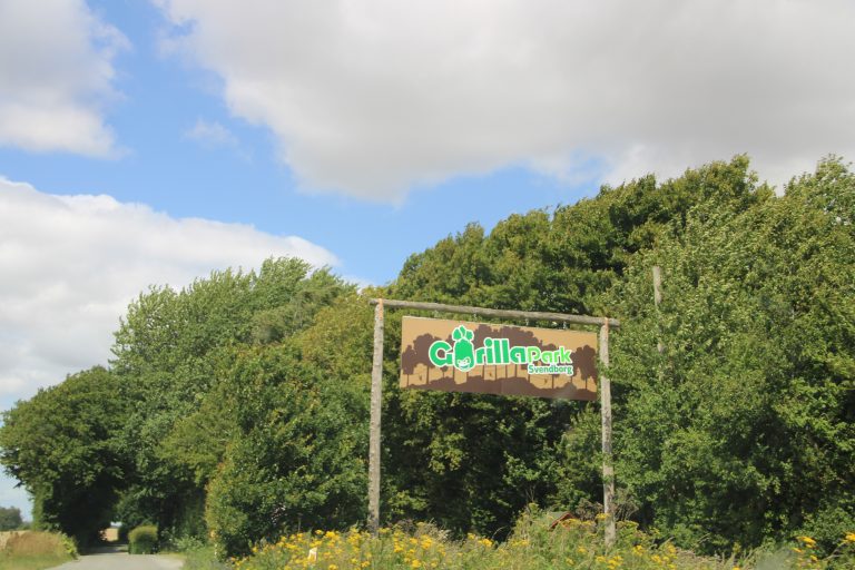 Gorillapark & Bunkermuseum