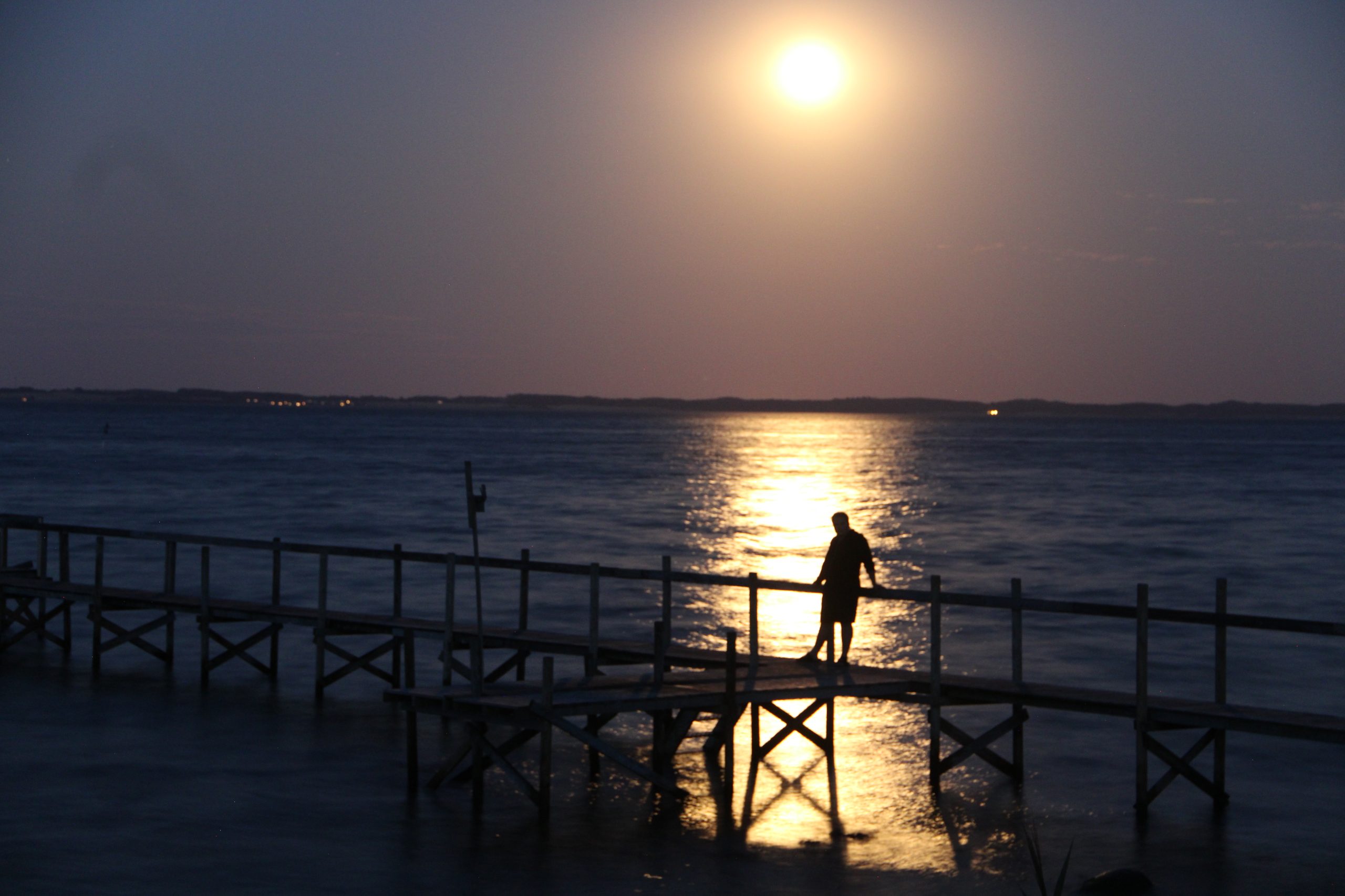Schwimmen in der Ostsee – ein fauler Tag